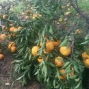 해덕농장 이미지