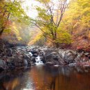 무주 덕유산 레저바이크텔 이미지