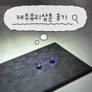 동백유리공방 | 제주 공방 체험 추천 | 제주유리삼촌 유리공예 & 현무암 녹이기 이색체험 솔직 후기