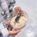 군산 GSCO 파충류 동반자 박람회 방문후기