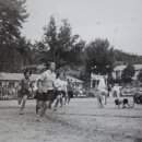 도안초등학교 이미지