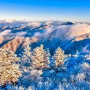 금수강산 이미지