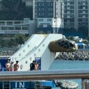 세븐일레븐 부산송도바다점 이미지