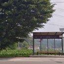 노현1리 이미지