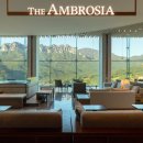 더엠브로시아 이미지