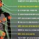 먼지비켜