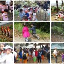 부광농장 이미지