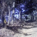 신선,안장,함박,석은덤,삼각,시명,불광,대운산 산행후기...