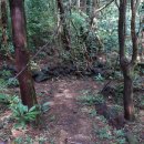 남원읍-111 이미지