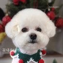 꽃내음나개 이미지