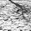 시골풍경 이미지