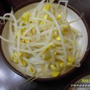 남포쭈꾸미 이미지