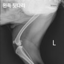 청라호수동물메디컬센터 이미지