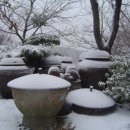 마음에고향 이미지