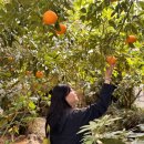 이목목장 | 천안 가볼만한곳 | 아름다운정원 화수목 속 제주여행 후기 총정리