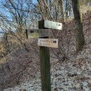 봉골목장 이미지