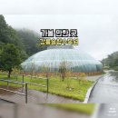 솔향수목원(전시온실) | 강릉 가볼 만한 곳 솔향수목원｜비 오는 날도 좋은 가족여행 후기