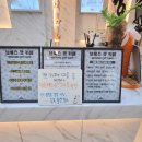 브룩스 캣 카페 이미지