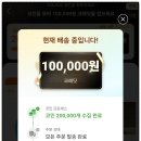 황금알PC | 테무쇼핑 쿠폰, 무료선물 코인 총정리