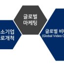 글로벌비디오커머스협회