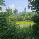 규용농장 이미지