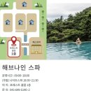 해브9 | [충북 제천] 포레스트 리솜 해브나인 HAVE 9 스파. 나이트 스파 후기