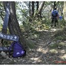 사곡중학교 이미지