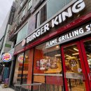 석양 속 생명의 날 이미지