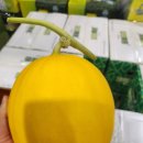 달달구리 함안 고당도 양구메론&amp;강원도 찰토마토 특가판매!!! 이미지