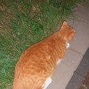 안녕베베 이미지