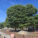 단양팔경(춘천) 이미지