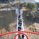 아우라지 출렁다리 이미지