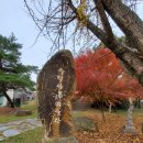 선미술관 이미지