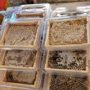 정선아리랑시장 이미지