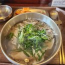 셀피하우스 | [경주 여행] 경주 황리단길 맛집 '오륙돈', 셀프사진 촬영 '셀피하우스' 후기