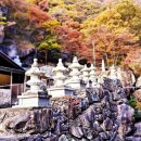 나드리에 이미지