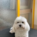 큐티살롱 이미지