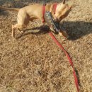 룰루랄라 이미지