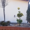 까사구스토 이미지