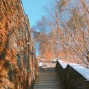 효재산장 | [충북 제천] 리솜리조트 : 제천 리솜 포레스트 객실 후기 (24평 빌라동 숙박)