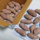 남쪽창고농수산물협동조합 이미지