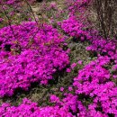 효원납골공원 이미지