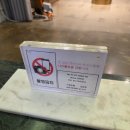 뷸라 | 로우케이더뷸라 드레스투어 솔직후기