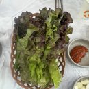 맛돼지 - 홍천군 갈마로 12-1 | 군산 현지인 점심 맛집 추천 토실배기 돼지불백 순한맛 후기