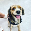 사랑해요동물병원 이미지