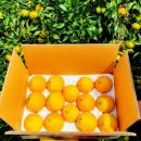 동문농장 이미지