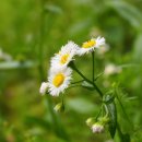 이안한방병원 이미지