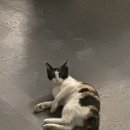 설화약국 이미지