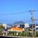 제주 마로 이미지