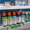 유명프라자온누리약국 이미지